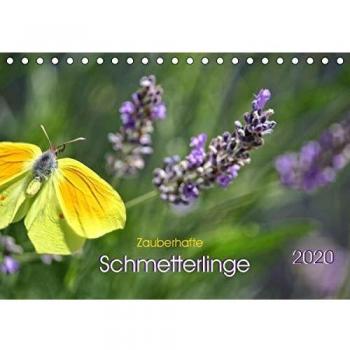 Zauberhafte Schmetterlinge