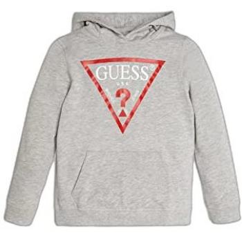 Guess Kids Triangle Logo Pullover Hoodie