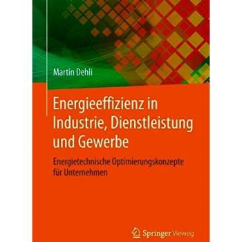 Energieeffizienz in Industrie, Dienstleistung und Gewerbe: Energietechnische Optimierungskonzepte für Unternehmen