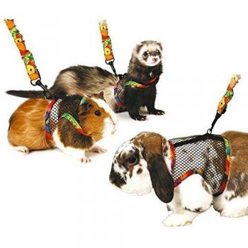 Harnais « BarkShield » avec Laisse « Rongeur » pour chiens et furets