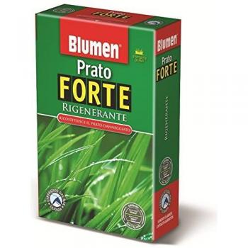 PRATO FORTE RIGENERANTE TURFINNOVATION EMERALD KG 15