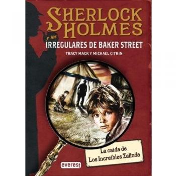 Sherlock Holmes y los irregulares de Baker Street