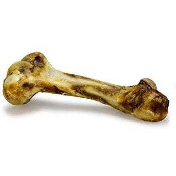 Hueso de buey extra grande Mamut