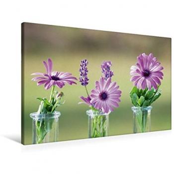 CALVENDO Premium Textil-Canvas 90 × 60 cm – Querformat, Blumenfreuden