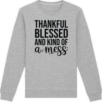 F4NT4STIC Damen Sweatshirt „Dankbar, gesegnet und ein wenig durcheinander“ – erdgrau – Größe L –