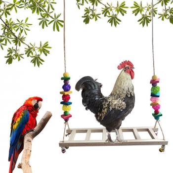 Parrot Chewing Toy with Bells