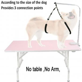 Adjustable Grooming Restraint for Dogs