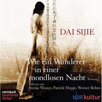 Wie ein Wanderer in einer mondlosen Nacht