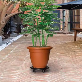 Vassoi per Piante con Ruote 5 pz Diametro 30 cm Neri 170 kg