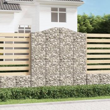 Kit de Cestas de Gavión Arco – 11 Piezas – VidaXL