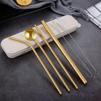 6 pailles réutilisables en acier inoxydable avec brosse et étui de voyage
