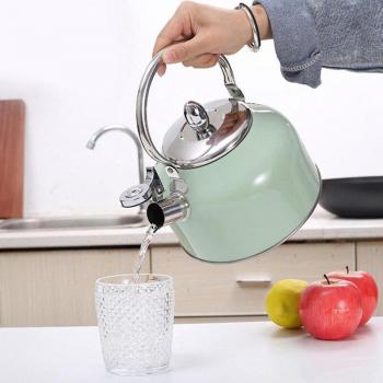 2,5 L Gasherd‑Wasserkocher „Pfeife“ – Edelstahl, für Kaffee und Tee geeignet