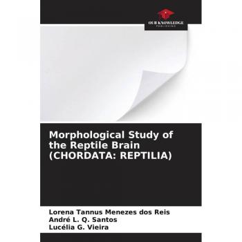 Morphological Study of the Reptile Brain (CHORDATA: REPTILIA)