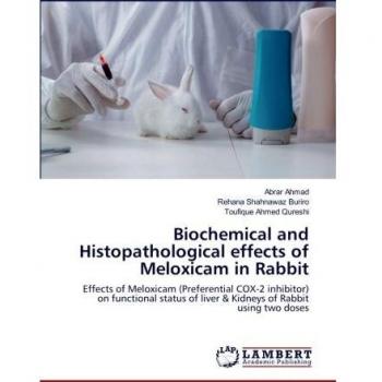 Biochemical and Histopathological effects of Meloxicam in Rabbit: Effects of Meloxicam