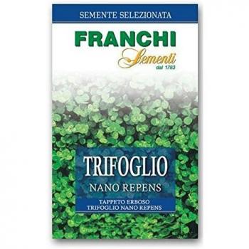 FRANCHI SEMENTI Semente per tappeti erbosi trifoglio repens nano, 250 gr