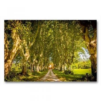 CALVENDO Premium Textilszene 90 x 60 cm – Alte Allee im Landsitz