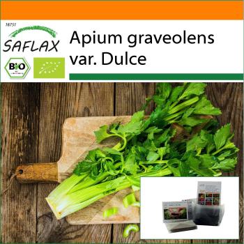 SAFLAX: Sedano Pascal 500 semi + sacchetto stand‑up, prodotto biologico