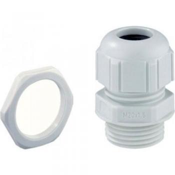 Spelsberg M20 Cable Gland with Locknut
