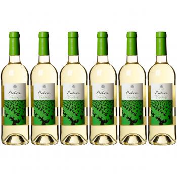 La Soterraña Adra Verdejo Rueda D.O., 6 Flaschen