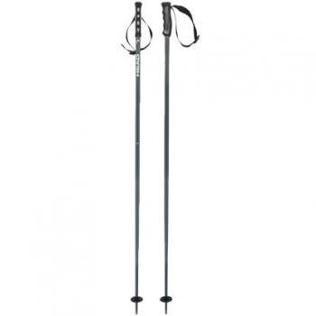 HEAD Alpin-Skistock MULTI grau
