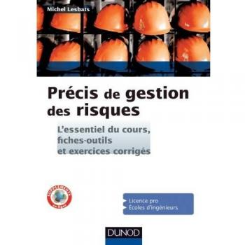 Précis de gestion des risques