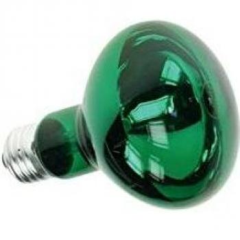 Lâmpada R80 60W E27 Verde 230V Velleman