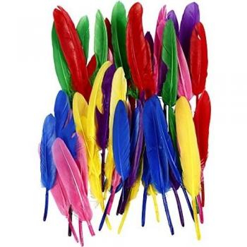 Plumes, L : 13 cm, couleurs mélangées, 48 pièces