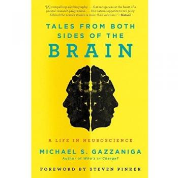 Tales from Both Sides of the Brain