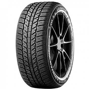 'Evergreen EW66 (205/55 R16 91H)'