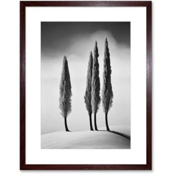 Silent Pines on a Snow-Capped Hill