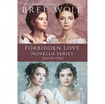 A forbidden love novella box set one paperback