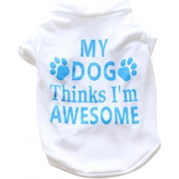 Accessoires d'automne pour petit chien