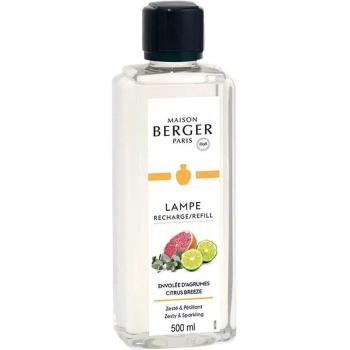 Maison Berger