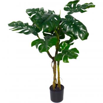 70cm Twisted Stem Monstera