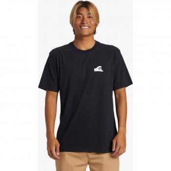 Quiksilver Männer T-Shirt »QS Mikey«