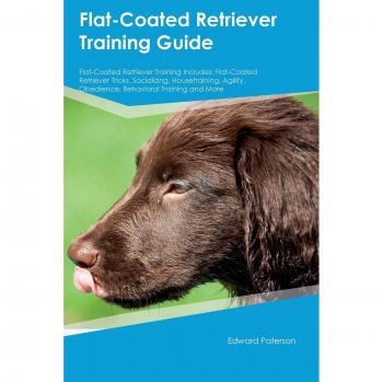 FLAT-COATED RETRIEVER TRAINING