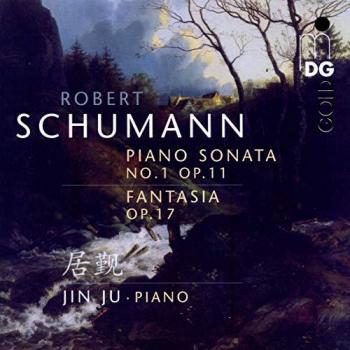 Op. 11/17 Piano Fantasie – Sonate 1