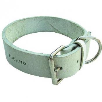 Collier Chien 40mm Largeur 64cm