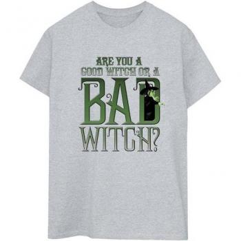 Women’s Wicked Witch Tees – Grey XL