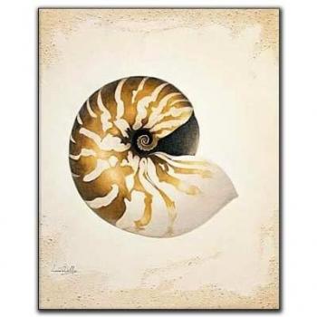 Welles Nautilus Boisé – Artopweb 40x50 Multicolore