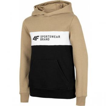 Sudadera Infantil 4F con Capucha JBLM003