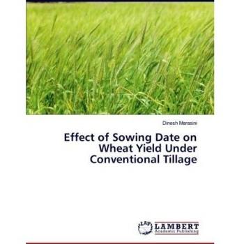 Effect of Sowing Date on Wheat Yield Under Conventional Tillage