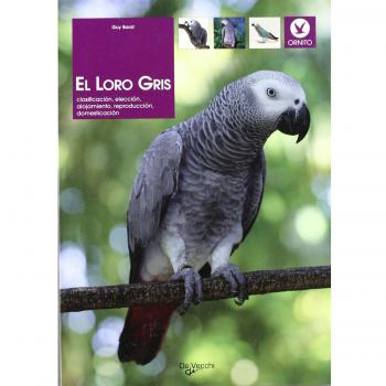 LORO GRIS, EL