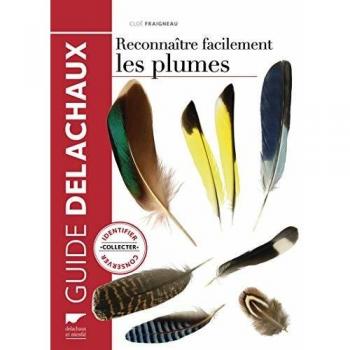 Reconnaître Facilement Les Plumes