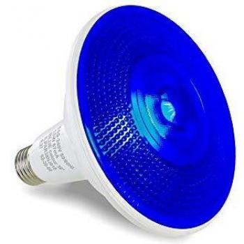 SkyLight 15W Blue LED Garden Bulb