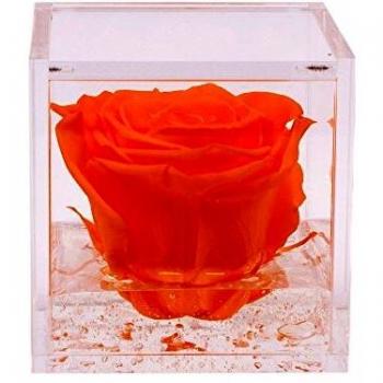Flowercube Rosa Stabilizzata Profumata 8x8 cm