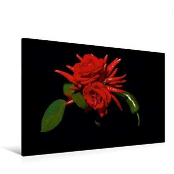 Ola Feix Stinging Bouquet – 120 × 80 cm Leinwandbild im Querformat