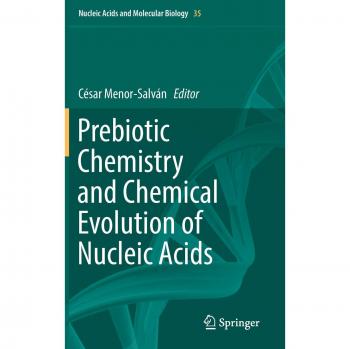 Prebiotic Chemistry and Chemical Evolution of Nucleic Acids