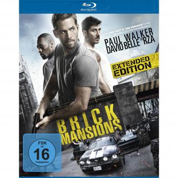 Brick Mansions