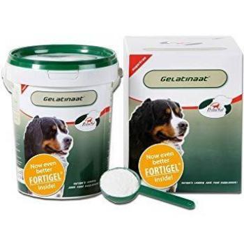 Hundegelenk‑Gelatinepaket PrimeVal – 500 g